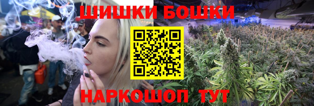 Каннабис OG Kush  Марихуана гибрид  Вход с VPN  Сокол  Конопля OG Kush  Канабис сатива 